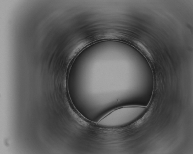 X0000093470938200710121008