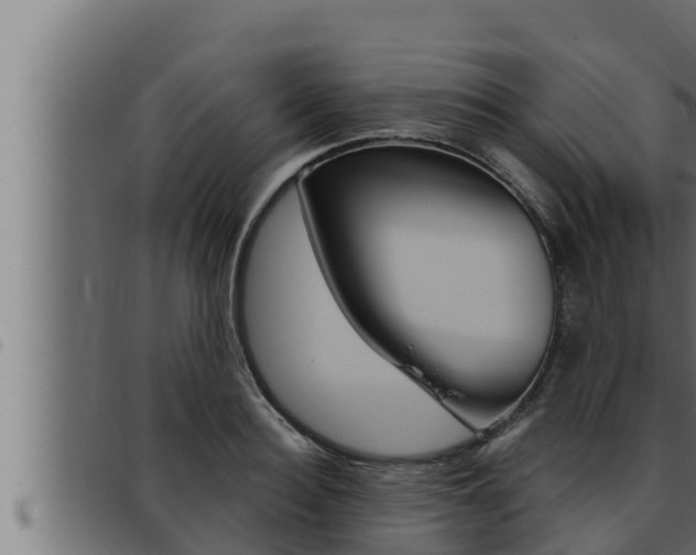 X0000093470940200710121008