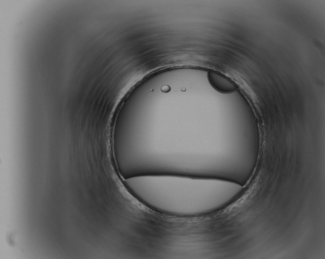 X0000093470941200710121008