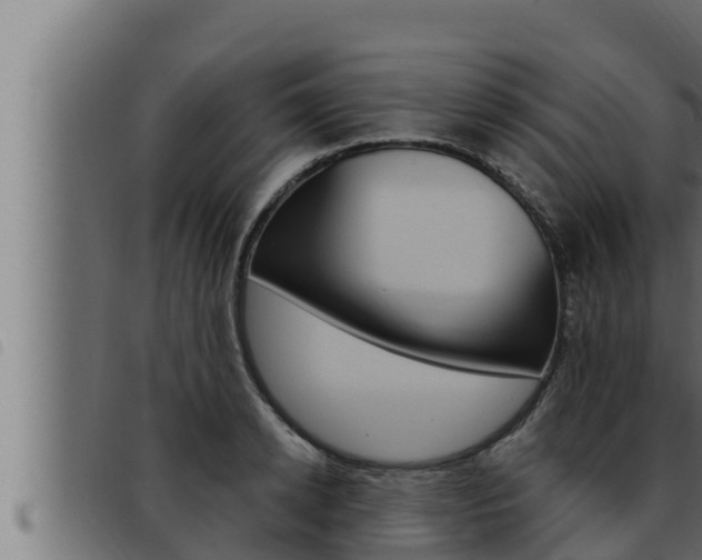 X0000093470942200710121008