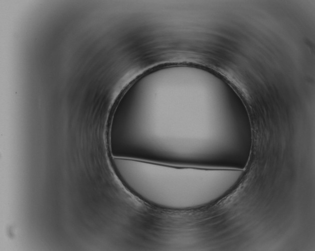 X0000093470943200710121008