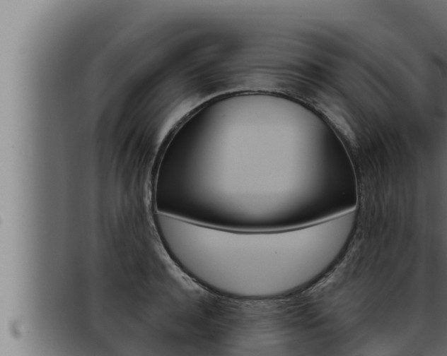 X0000093470944200710121008