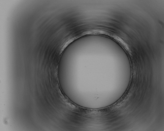 X0000093470945200710121008