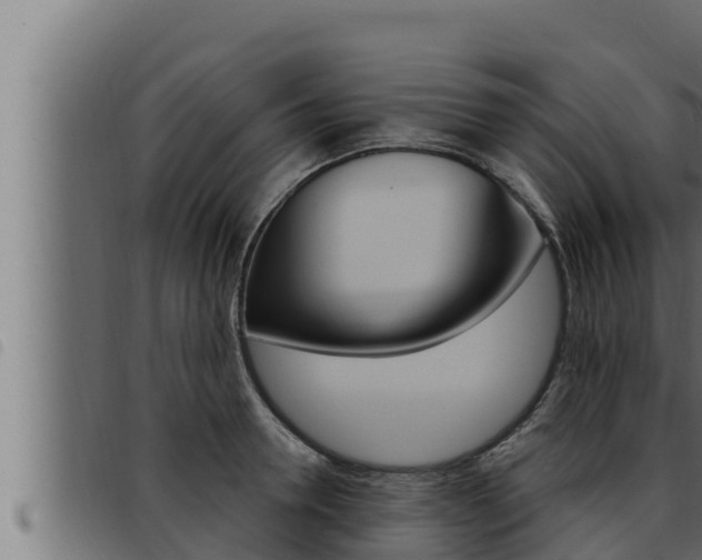 X0000093470946200710121008