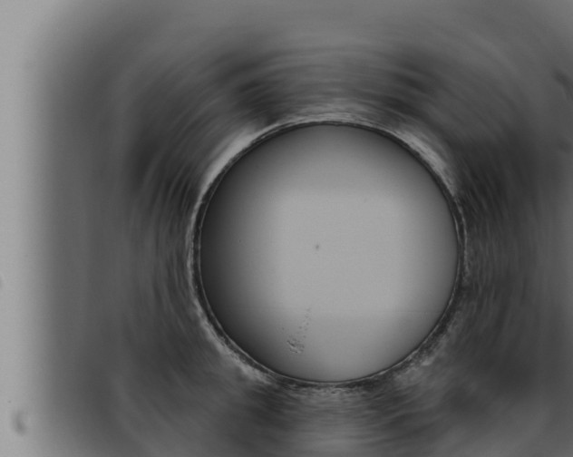 X0000093470949200710121008