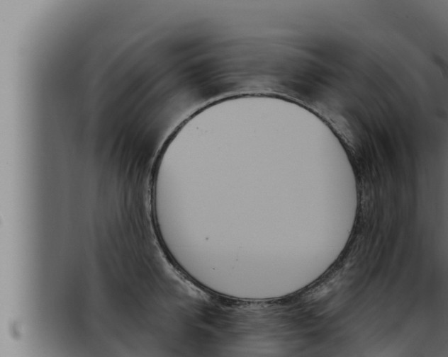 X0000093470950200710121008