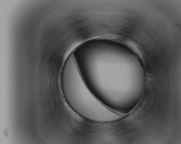 X0000093470952200710121008