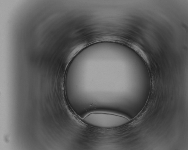X0000093470954200710121008