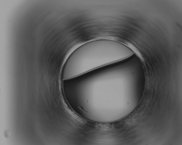 X0000093470955200710121008