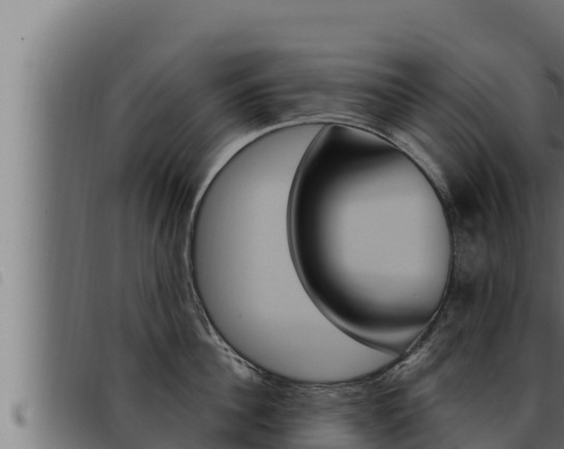 X0000093470956200710121008