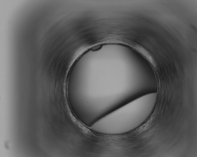 X0000093470958200710121008