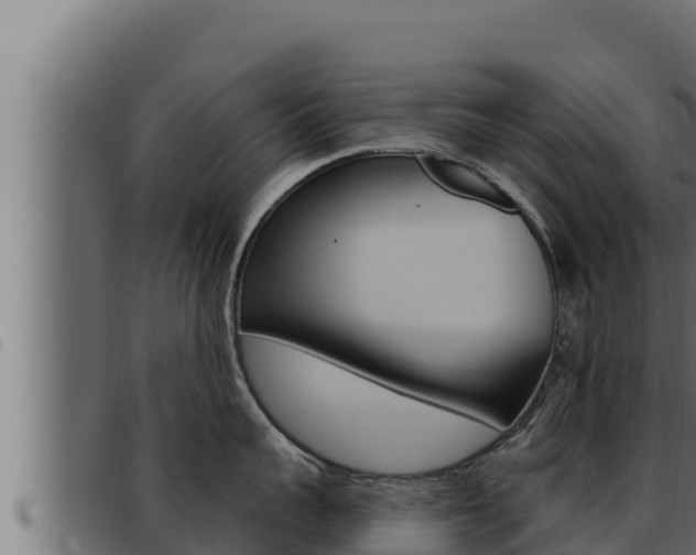 X0000093470959200710121008