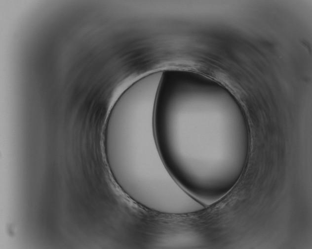 X0000093470960200710121008