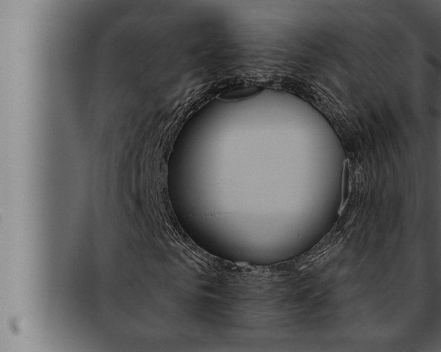 X0000093470961200710121007