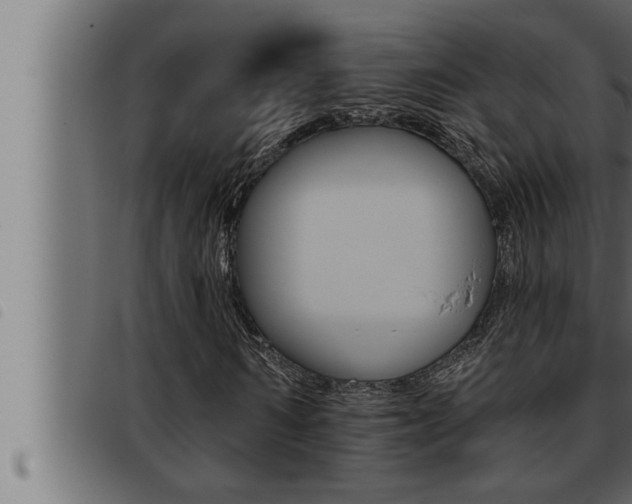 X0000093470962200710121007