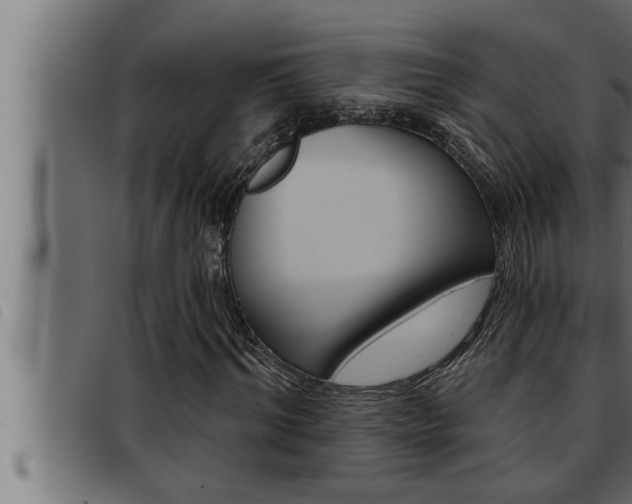 X0000093470964200710121007