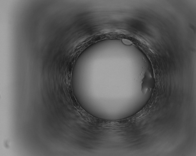 X0000093470966200710121007