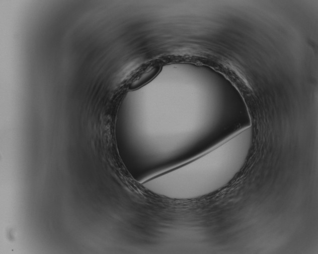 X0000093470968200710121007