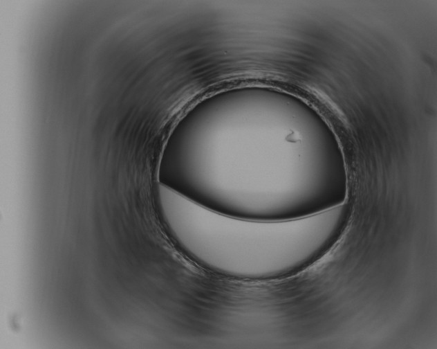X0000093470969200710121007