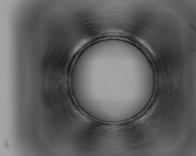 X0000093470970200710121007