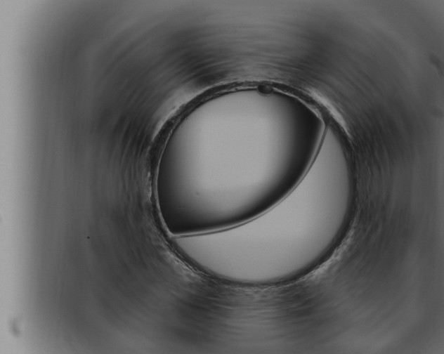 X0000093470973200710121007
