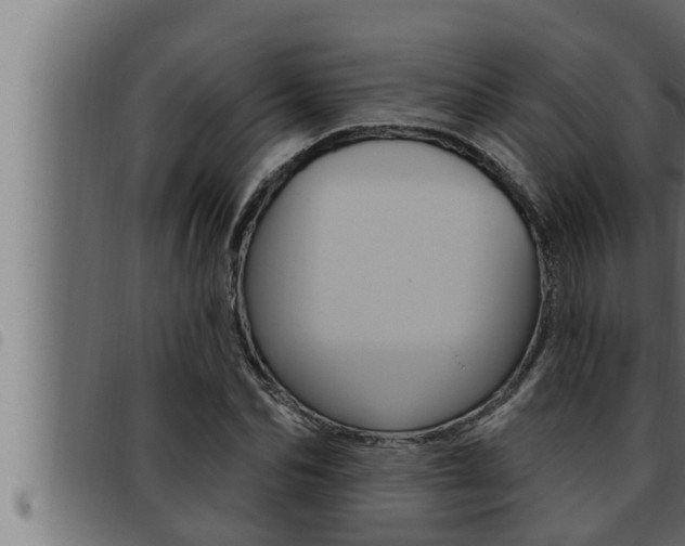X0000093470974200710121007