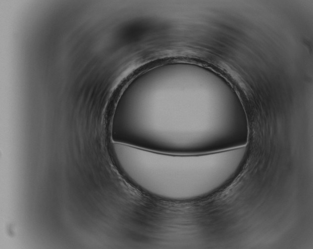 X0000093470975200710121007