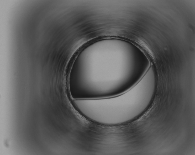 X0000093470976200710121007
