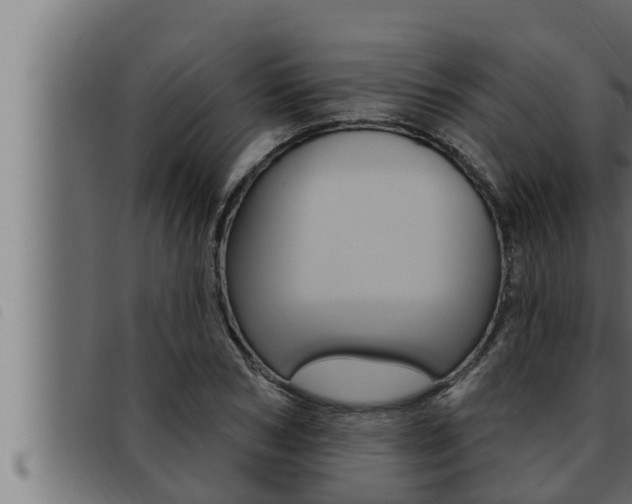 X0000093470978200710121007