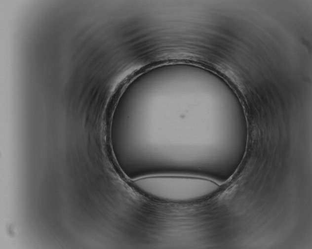 X0000093470979200710121007