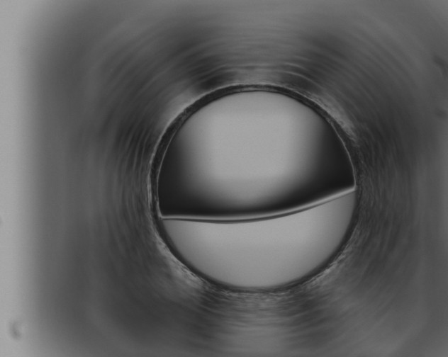 X0000093470980200710121007