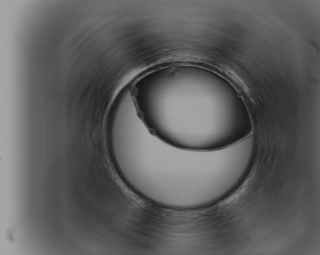 X0000093470981200710121007