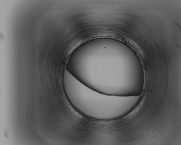 X0000093470985200710121007