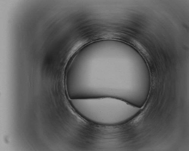 X0000093470986200710121007
