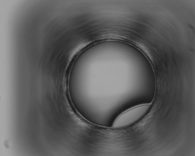 X0000093470987200710121007