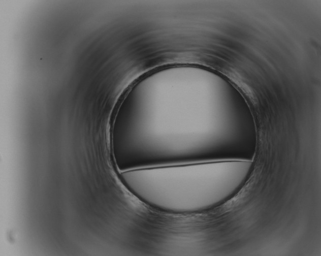X0000093470988200710121007