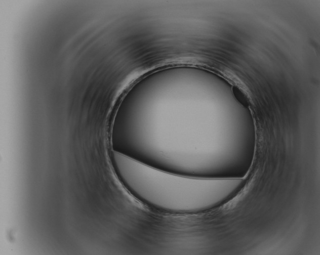 X0000093470989200710121007