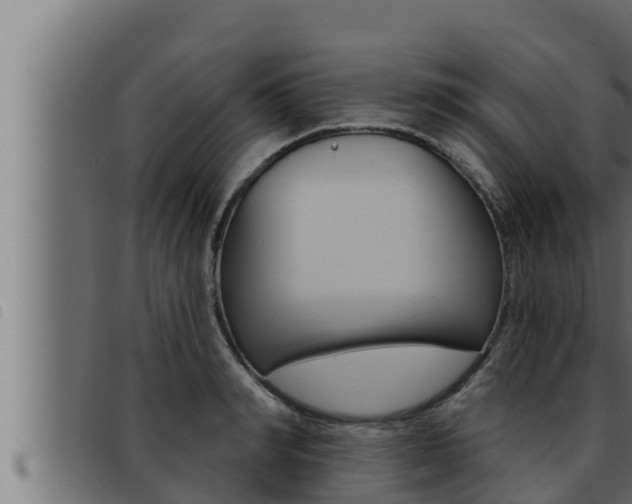 X0000093470990200710121007
