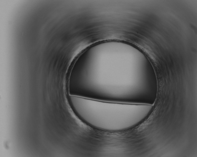 X0000093470991200710121007