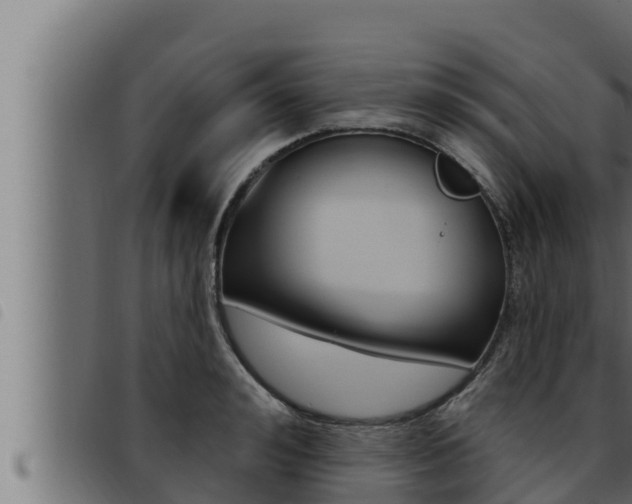 X0000093470992200710121007