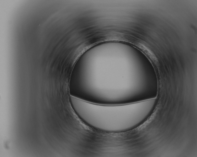 X0000093470993200710121007