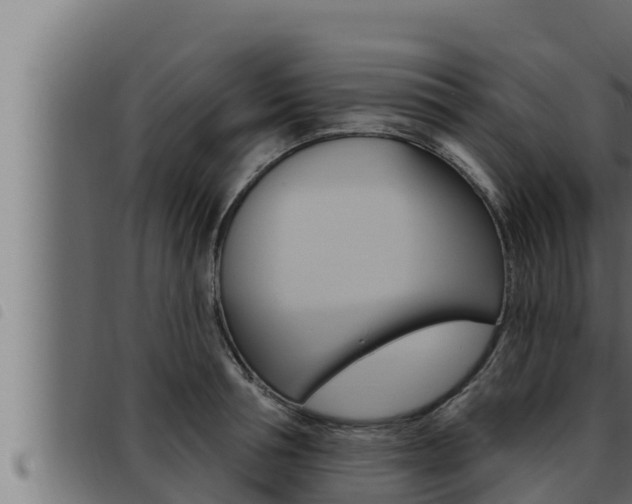 X0000093470994200710121007