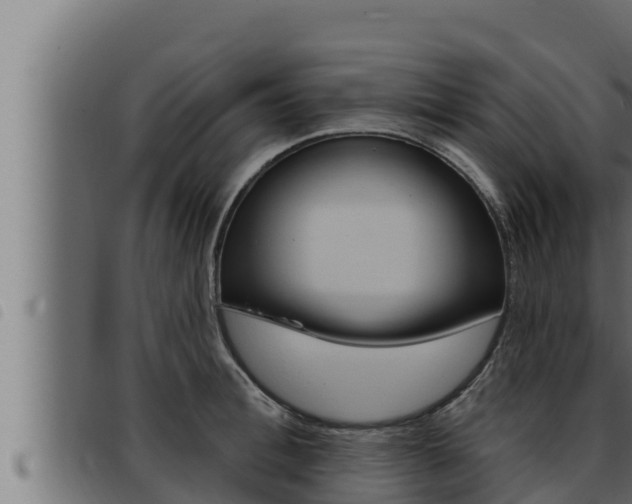 X0000093470996200710121007