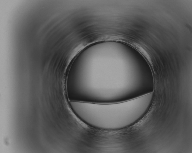 X0000093470997200710121007