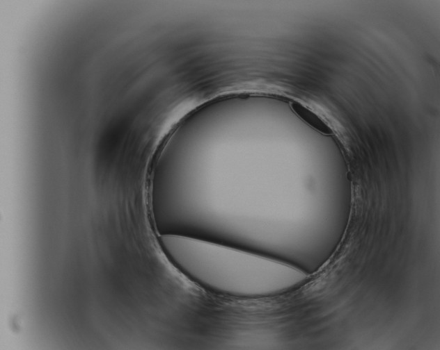 X0000093470998200710121007