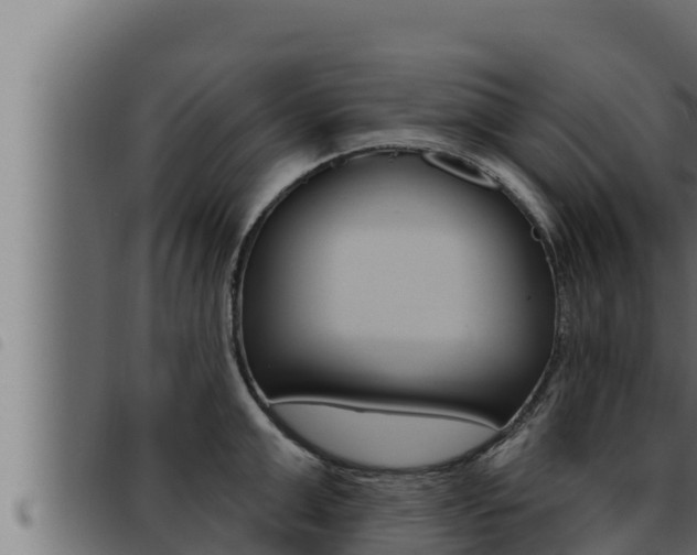 X0000093470999200710121007
