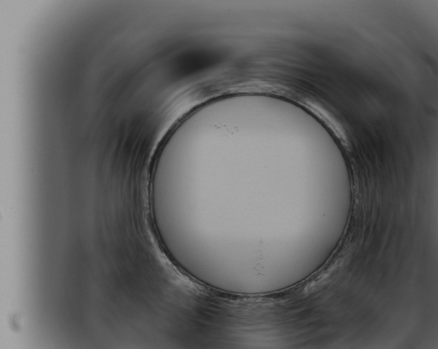 X0000093471000200710121007
