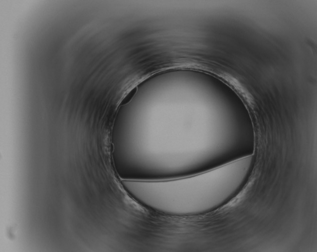 X0000093471001200710121007
