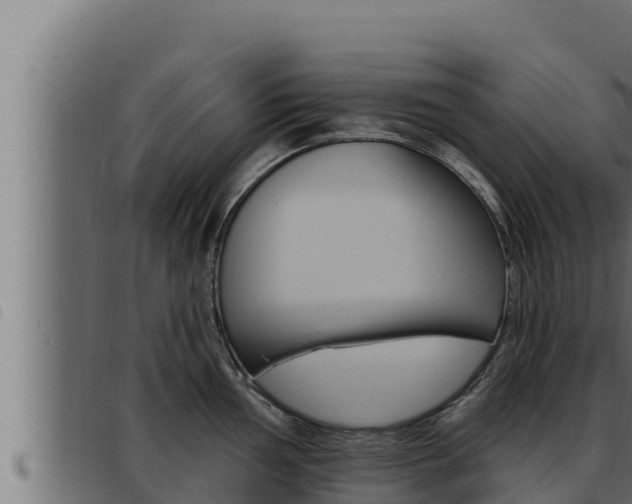 X0000093471002200710121007