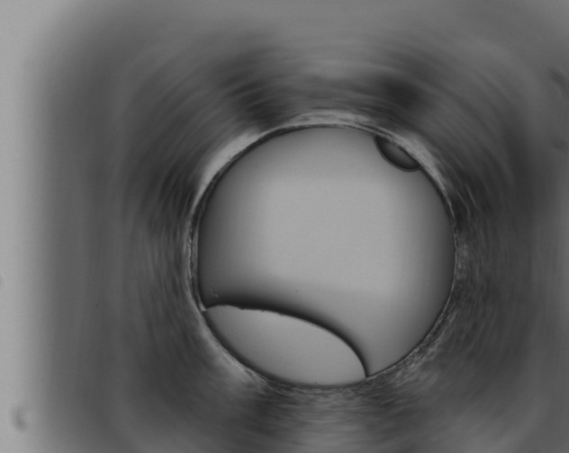 X0000093471003200710121007
